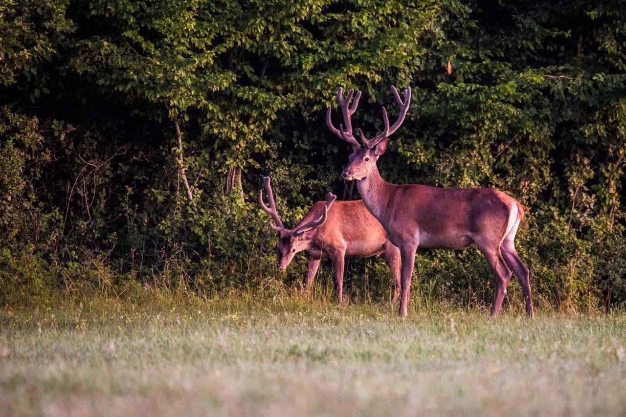 Naturpark Vendeghaz Alsoszolnok 外观 照片