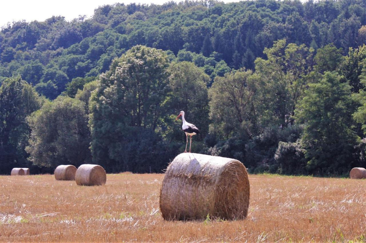 Naturpark Vendeghaz Alsoszolnok 外观 照片